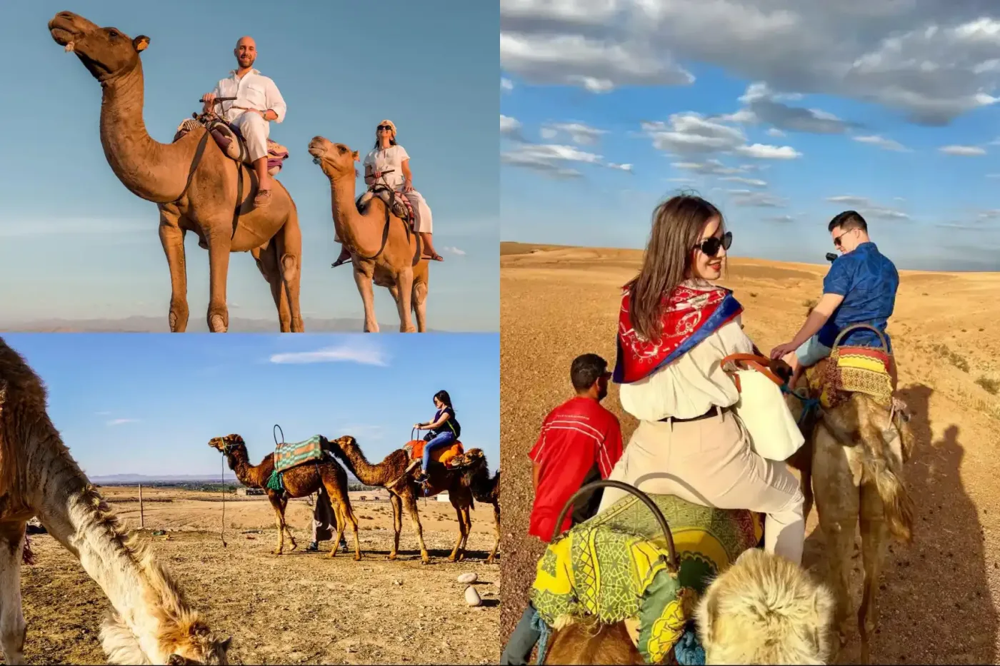 camel-ride-agafay