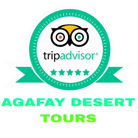 Tripadvisor Reviews